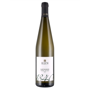 Sauvignon Südtirol - Alto Adige DOC 1840 